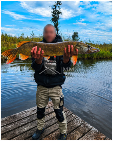 Działka Sprzedaż Klejnowo 10